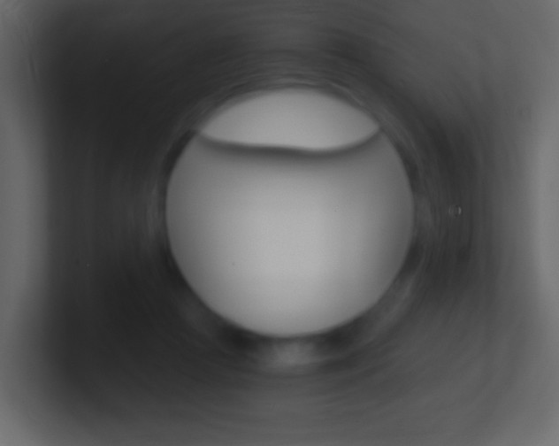 X0000101460361200807071137