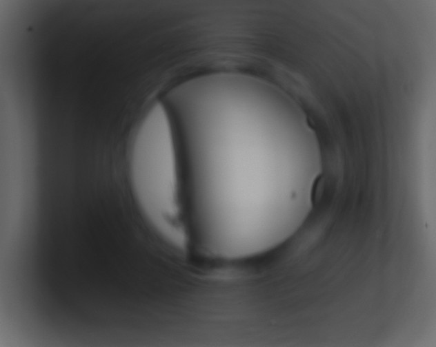 X0000101460364200807071137