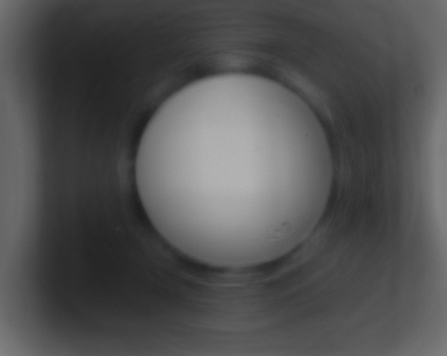X0000101460366200807071137
