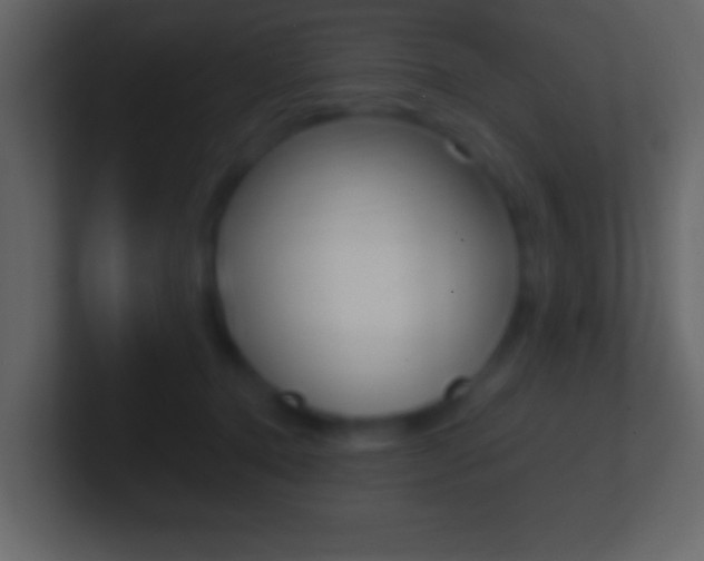 X0000101460368200807071137