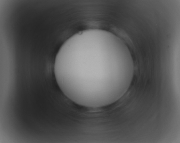 X0000101460369200807071137
