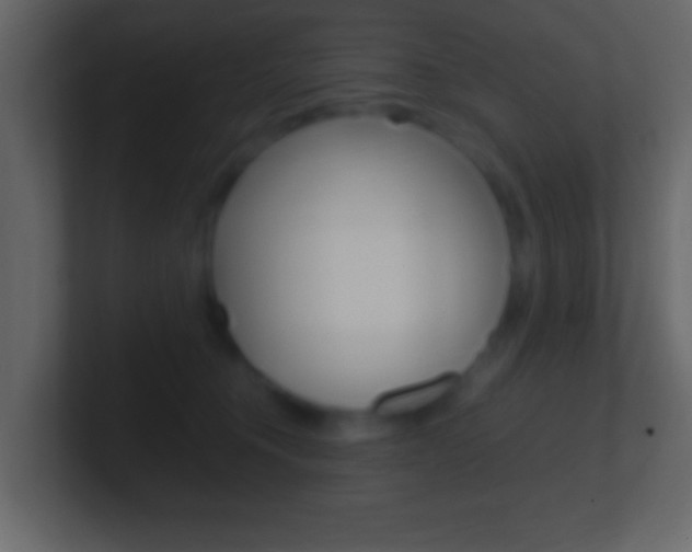 X0000101460372200807071137