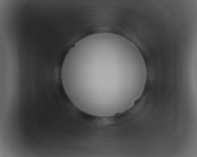 X0000101460378200807071137
