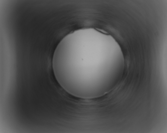 X0000101460380200807071137