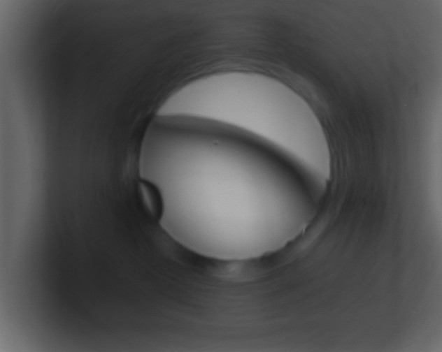 X0000101460382200807071137