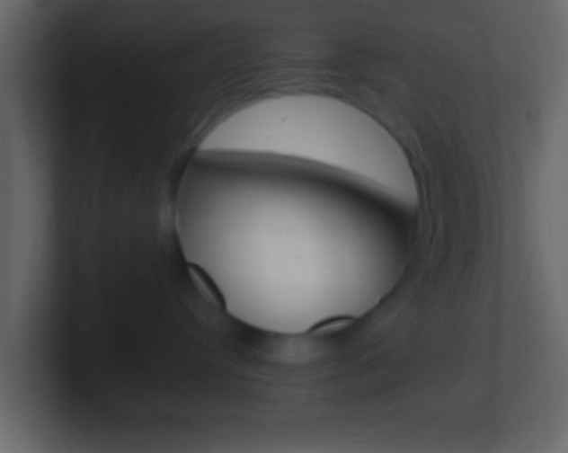 X0000101460384200807071137