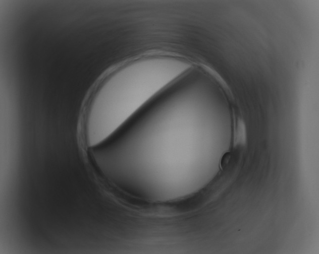 X0000101460387200807071137