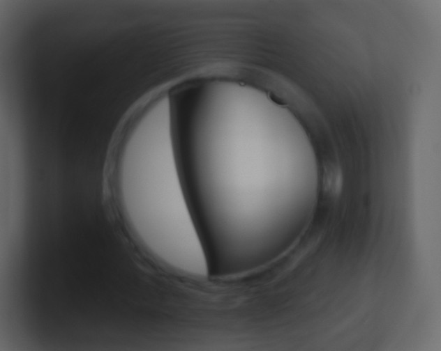 X0000101460388200807071137