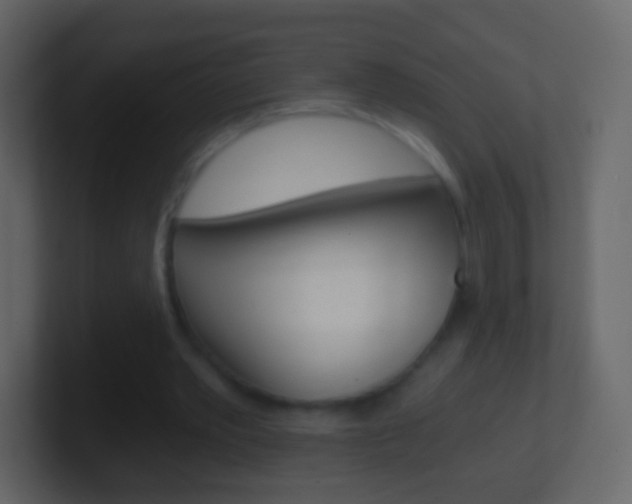 X0000101460389200807071137