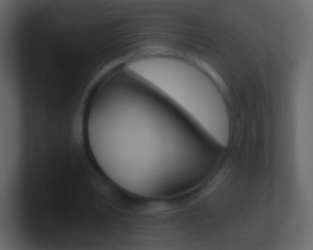 X0000101460391200807071137