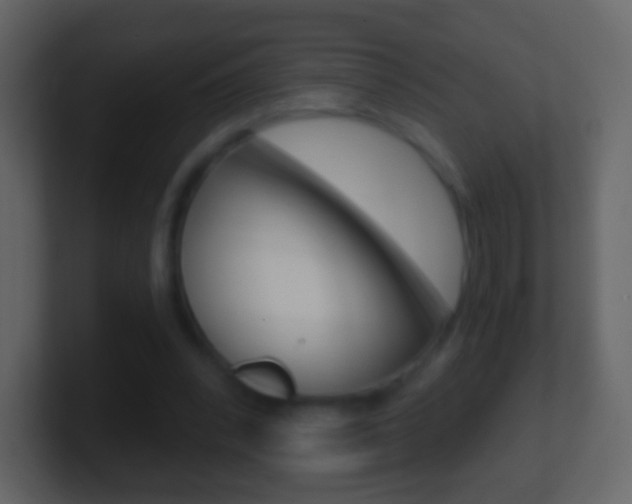 X0000101460392200807071137