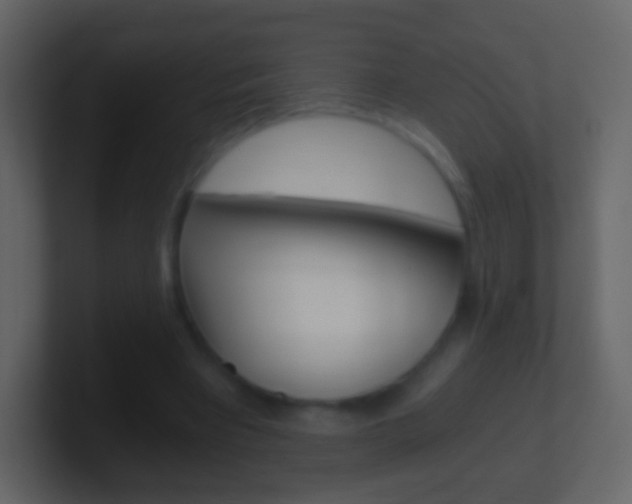 X0000101460393200807071137