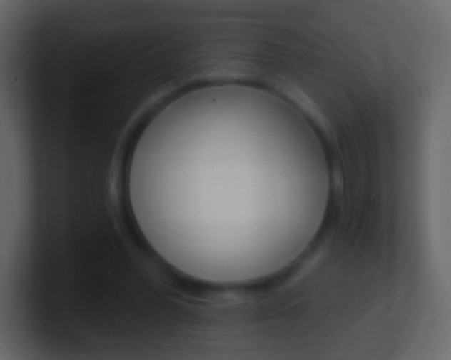 X0000101460396200807071137