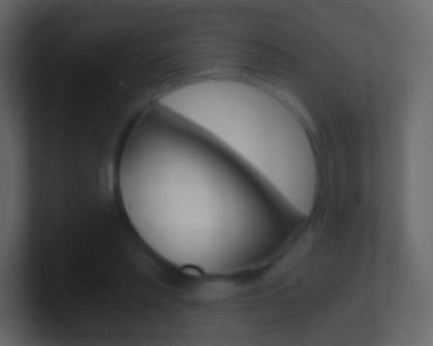 X0000101460397200807071137
