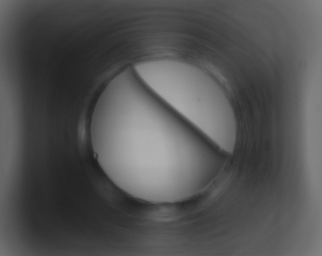 X0000101460398200807071137