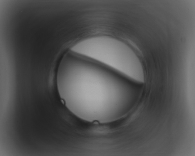 X0000101460403200807071136