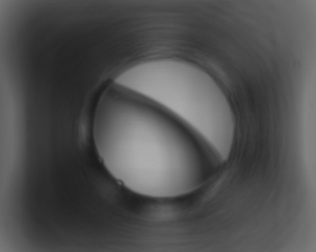 X0000101460404200807071136