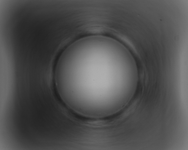 X0000101460407200807071136