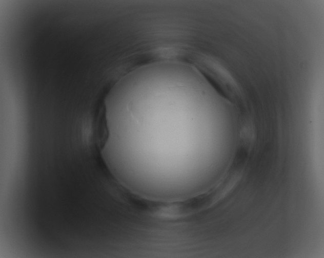 X0000101460411200807071136