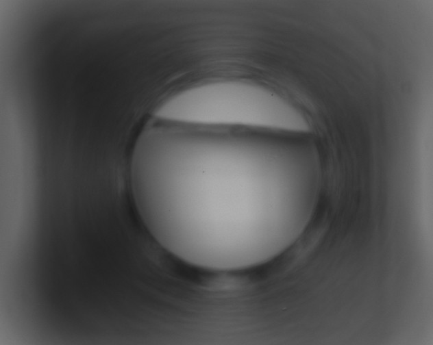 X0000101460413200807071136