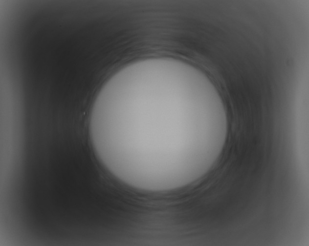 X0000101460415200807071136