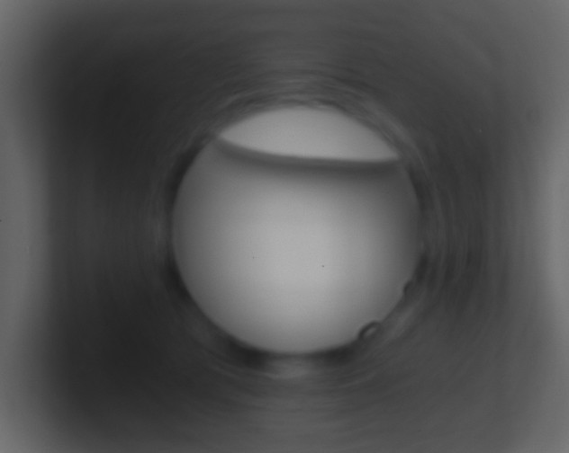 X0000101460417200807071136