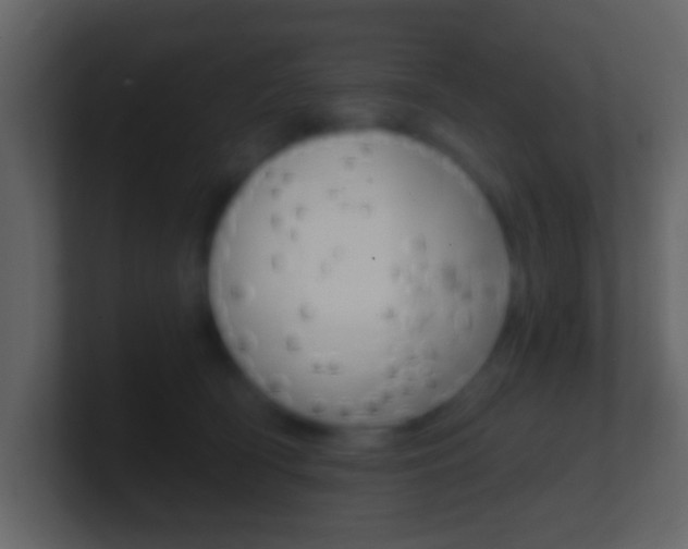 X0000101460418200807071136