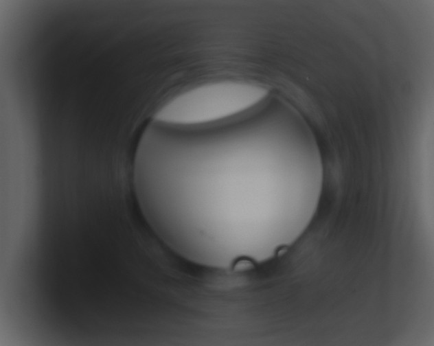 X0000101460421200807071136