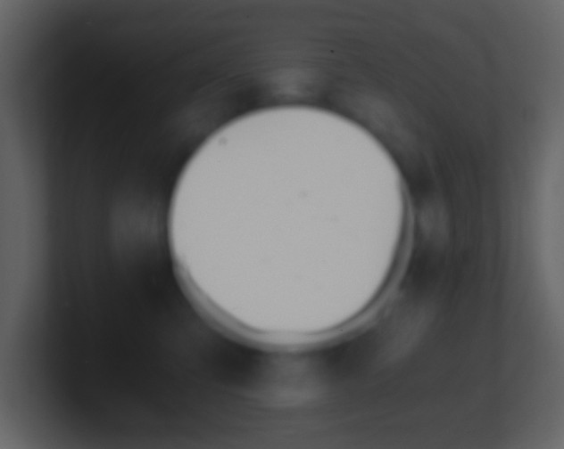 X0000101460423200807071136