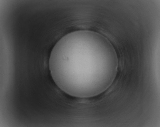 X0000101460424200807071136