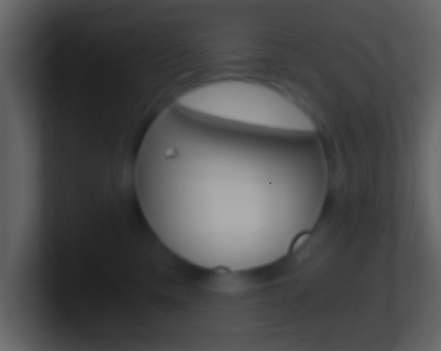 X0000101460425200807071136
