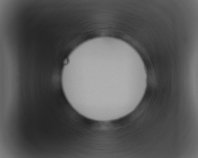 X0000101460427200807071136