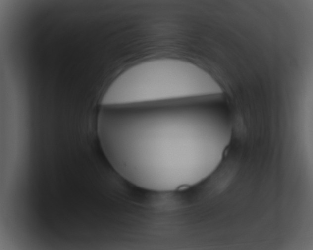 X0000101460428200807071136