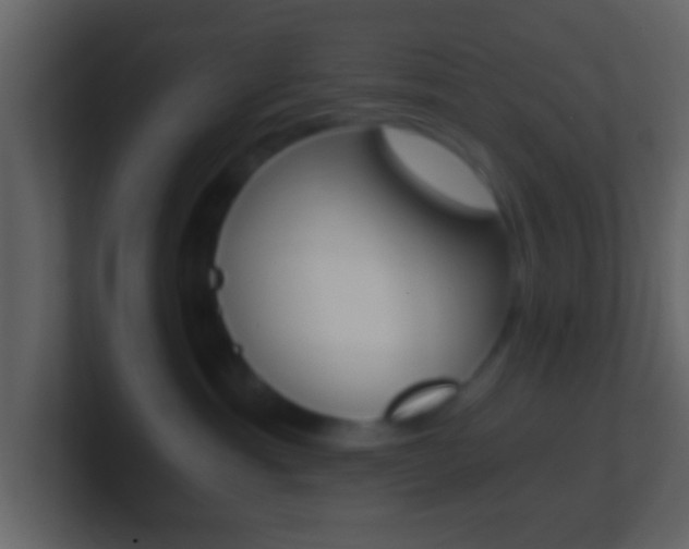 X0000101460429200807071136
