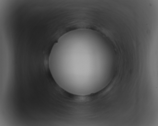 X0000101460432200807071136
