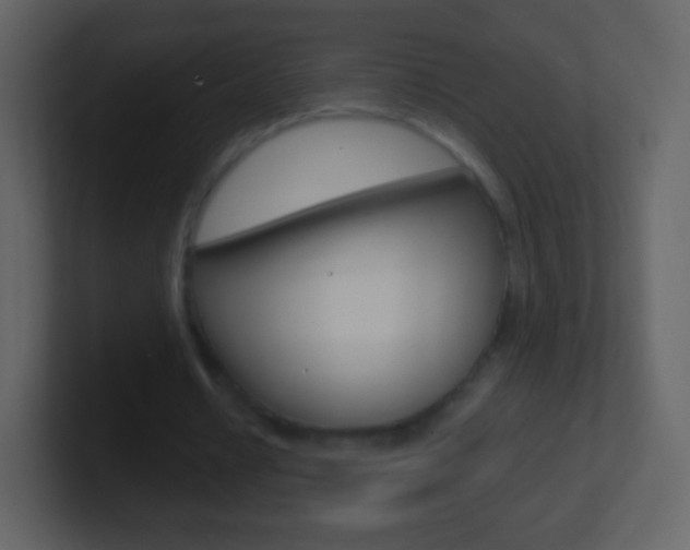X0000101460434200807071135