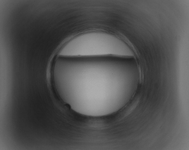 X0000101460435200807071135