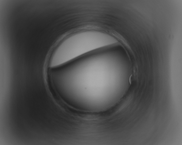 X0000101460436200807071135