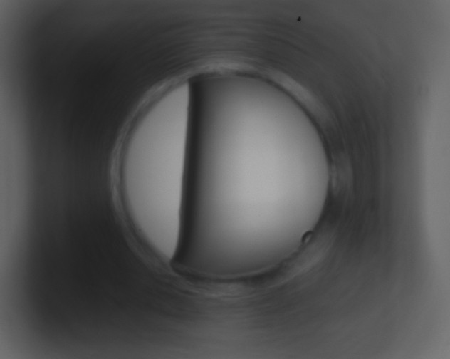 X0000101460438200807071135