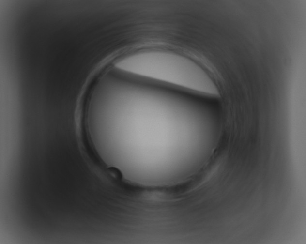 X0000101460440200807071135