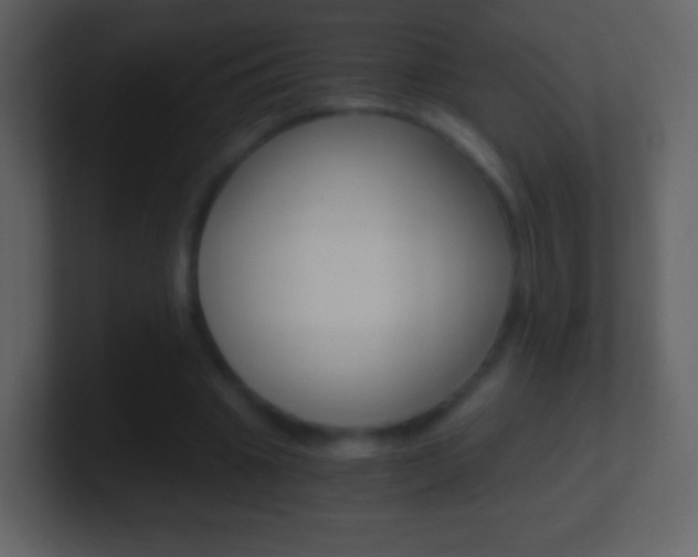 X0000101460441200807071135