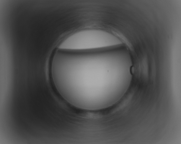 X0000101460442200807071136