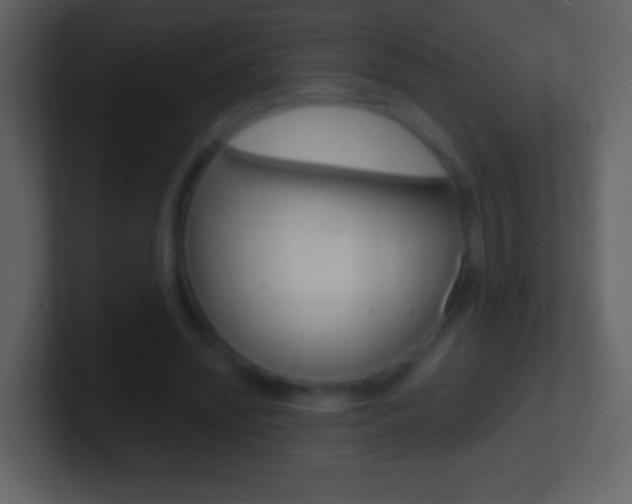 X0000101460444200807071136