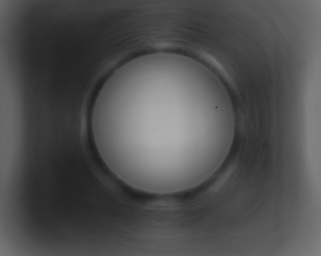 X0000101460447200807071136