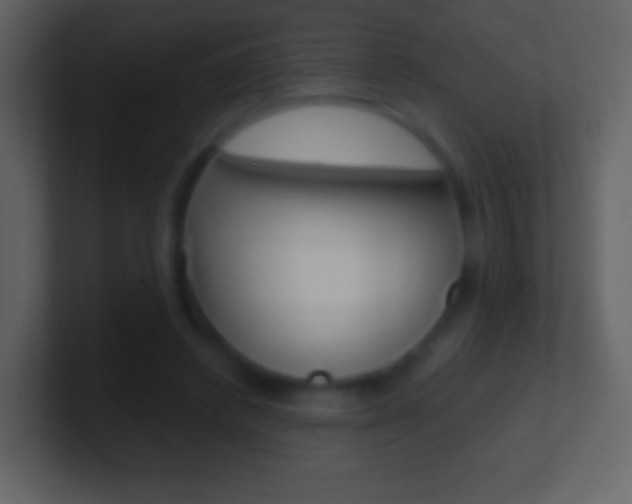 X0000101460448200807071136