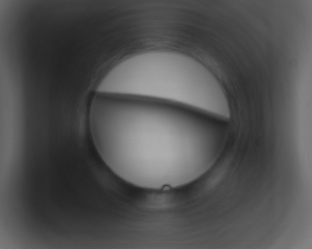 X0000101460450200807071136