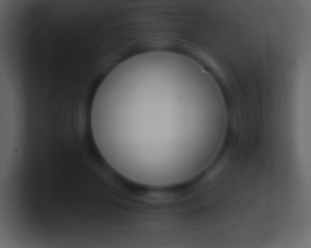 X0000101460455200807071136