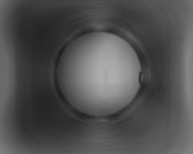 X0000101460456200807071136
