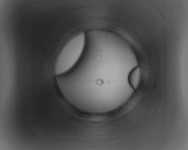 X0000101460458200807071136