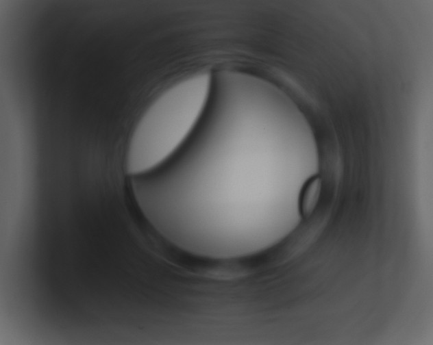 X0000101460459200807071136